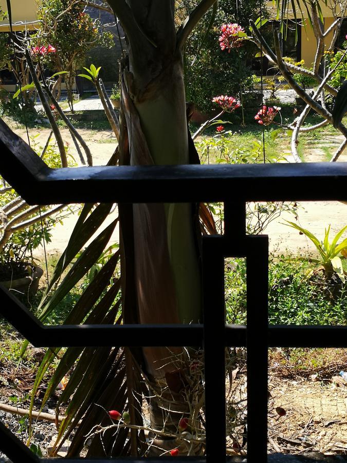 Cam Nam Homestay Hoi An Exterior foto
